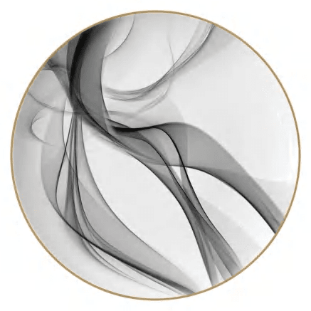 Black Silk detail image