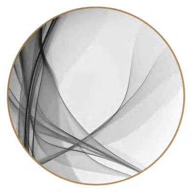 Black Silk detail image