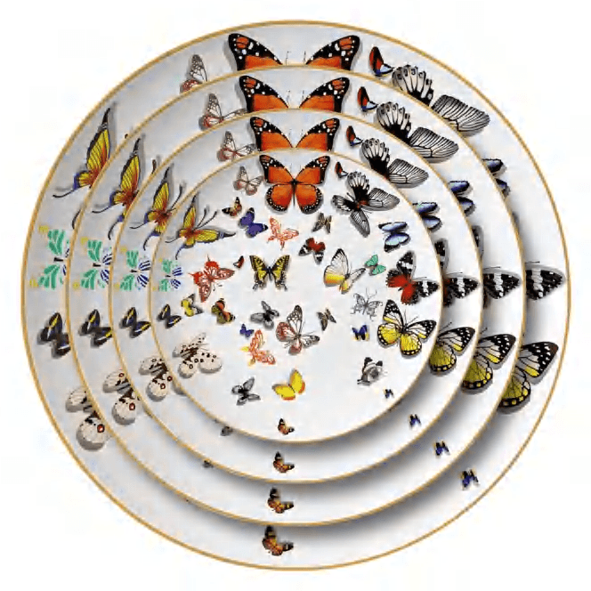 Butterfly cover image