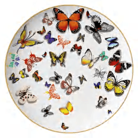Butterfly detail image