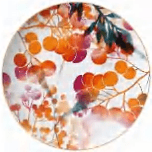 Colorful Fruit detail image