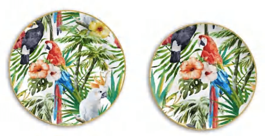 Colorful Parrot detail image