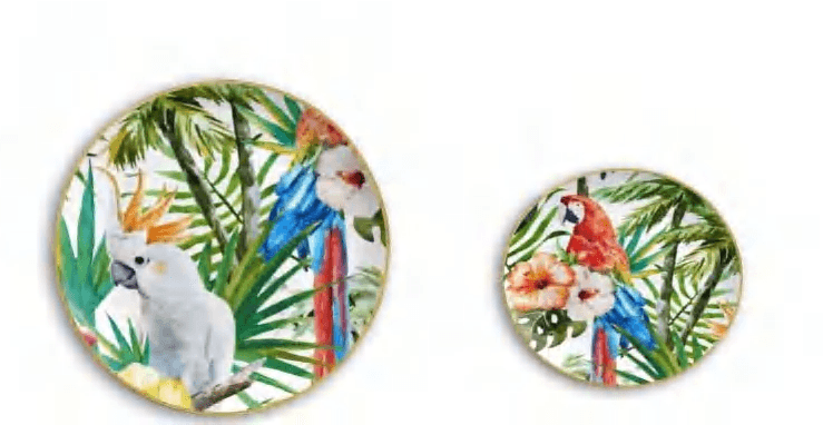 Colorful Parrot detail image