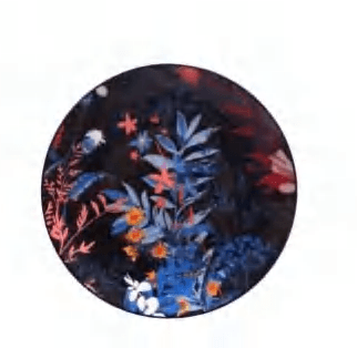 Dark Forest detail image