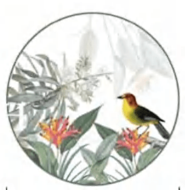Morning Birds detail image