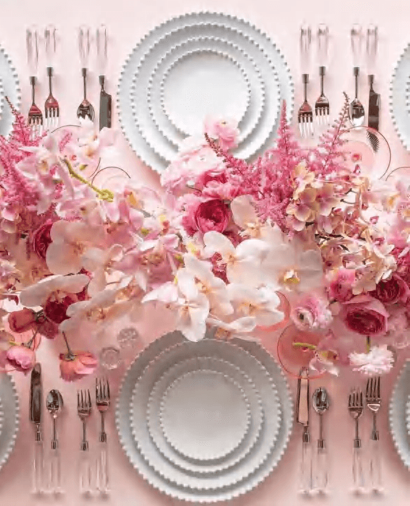 Pearl Dinnerware cover image