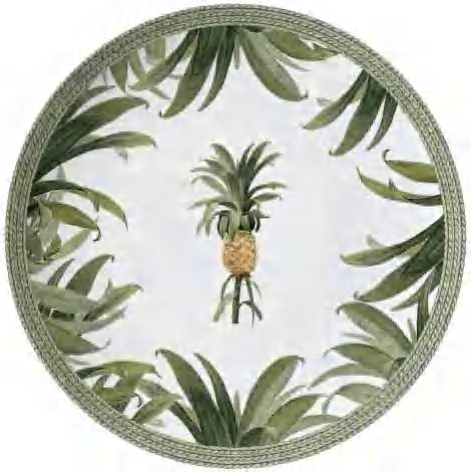 Pineapple Style detail image