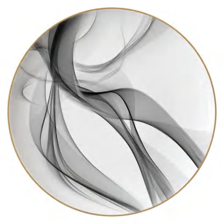 Black Silk detail image