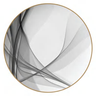 Black Silk detail image