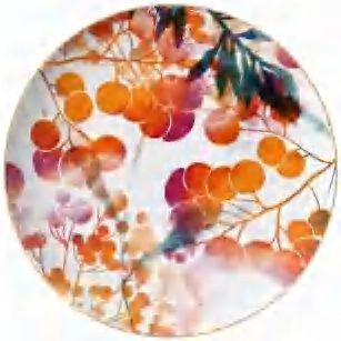Colorful Fruit detail image