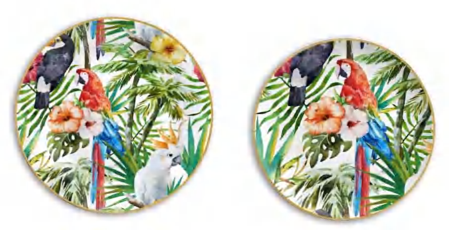 Colorful Parrot detail image