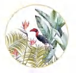 Heaven Birds detail image