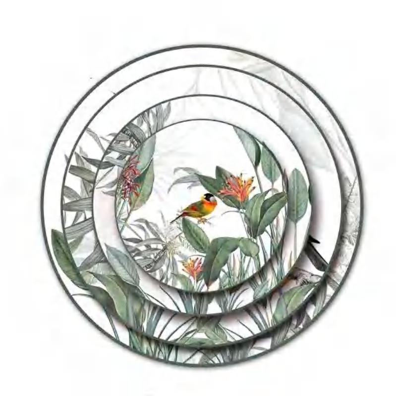 Morning Birds cover image