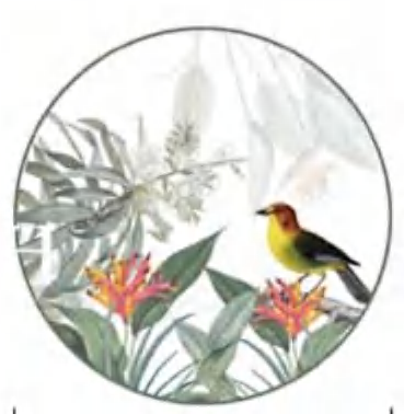 Morning Birds detail image