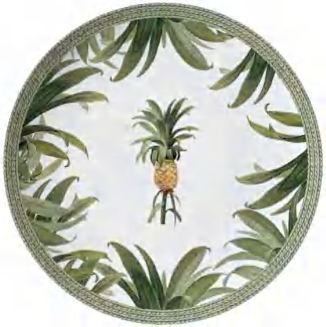 Pineapple Style detail image